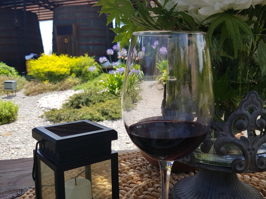 Hotel Cava Colchagua主图