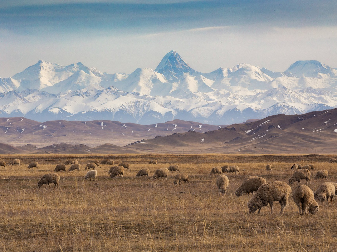 Khan Tengri Peak景点图片