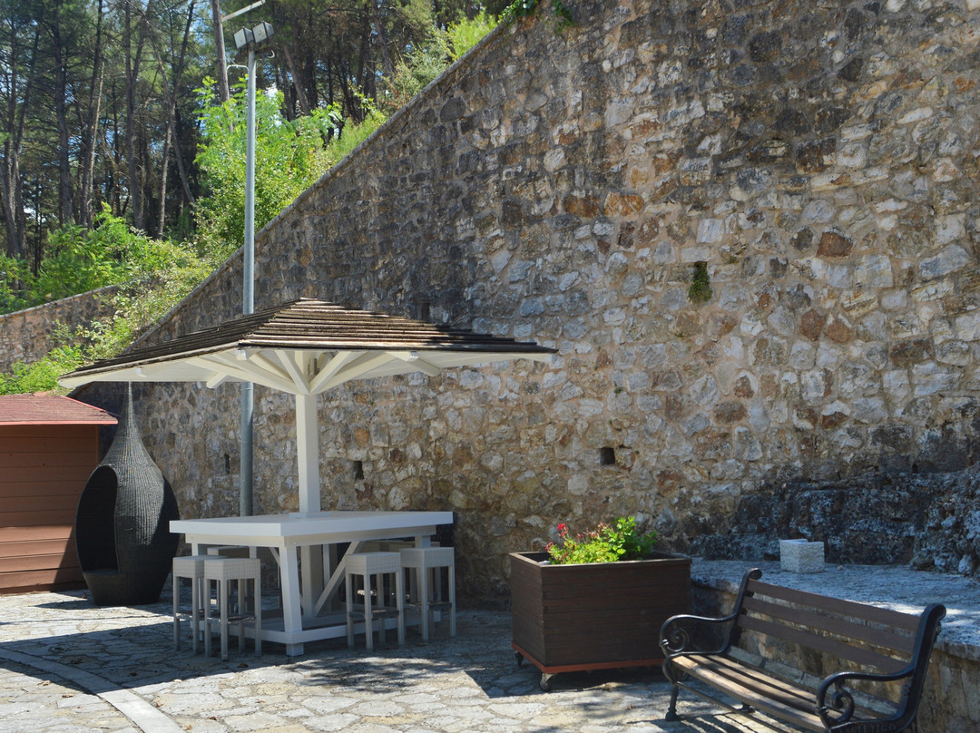 Frontzu Politia主图