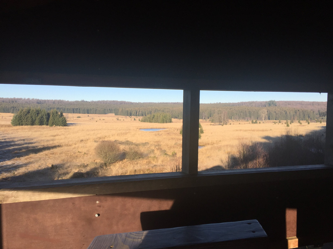 Sainte-Ode酒店住宿-Les Trappeurs