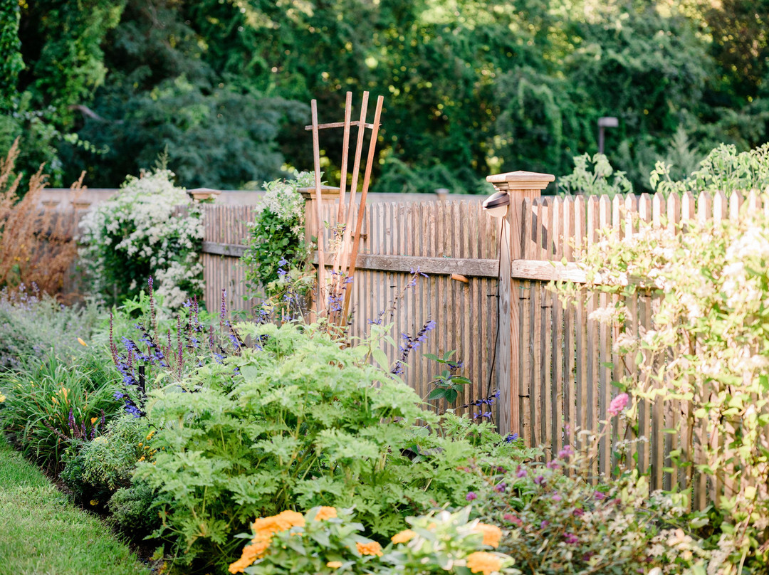 The Winsor House主图