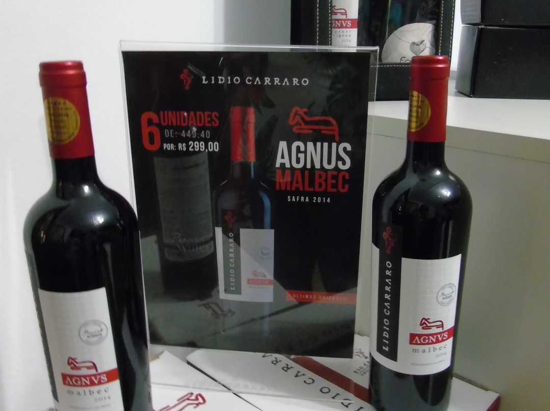 Lidio Carraro Vinícola Boutique景点图片