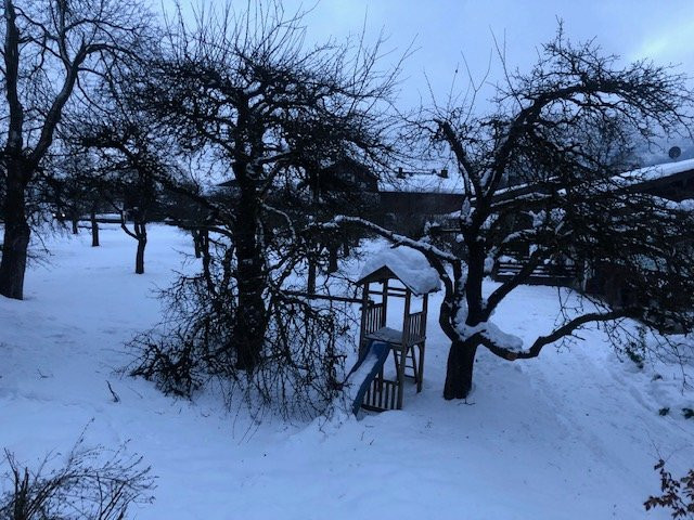 Hotel Alpenhof主图