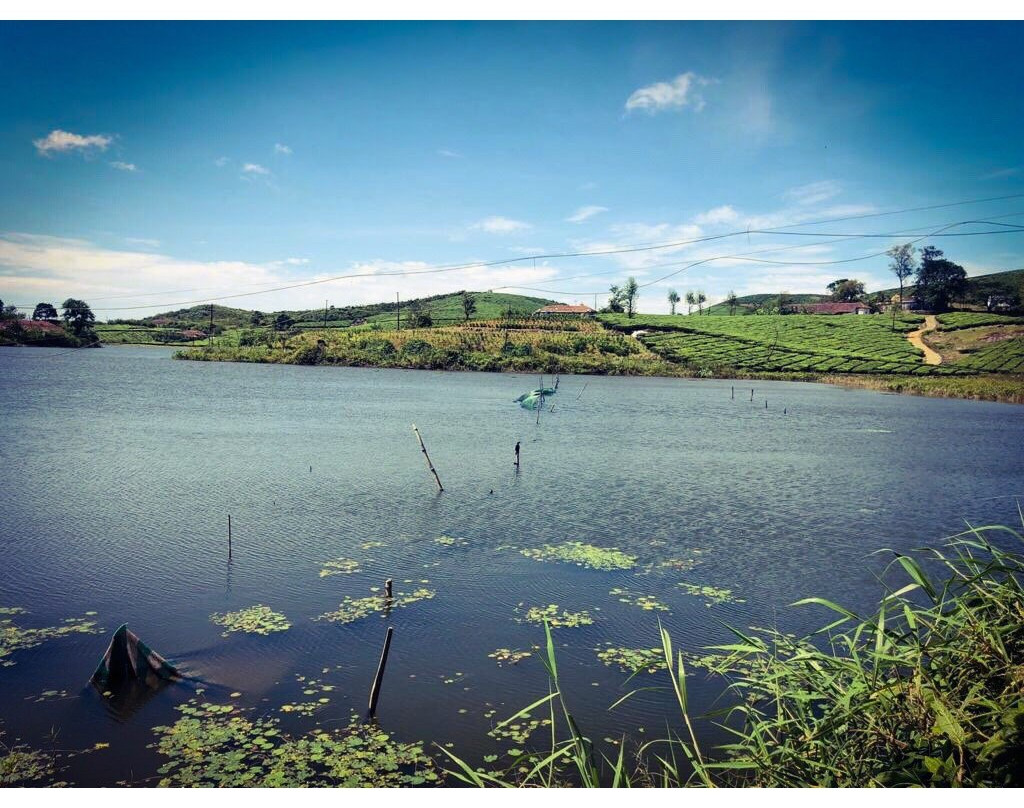 Kattappana旅游景点-Madammakkulam Waterfalls