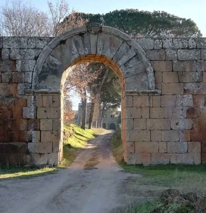 Abbazia di Santa Maria in Falleri景点图片