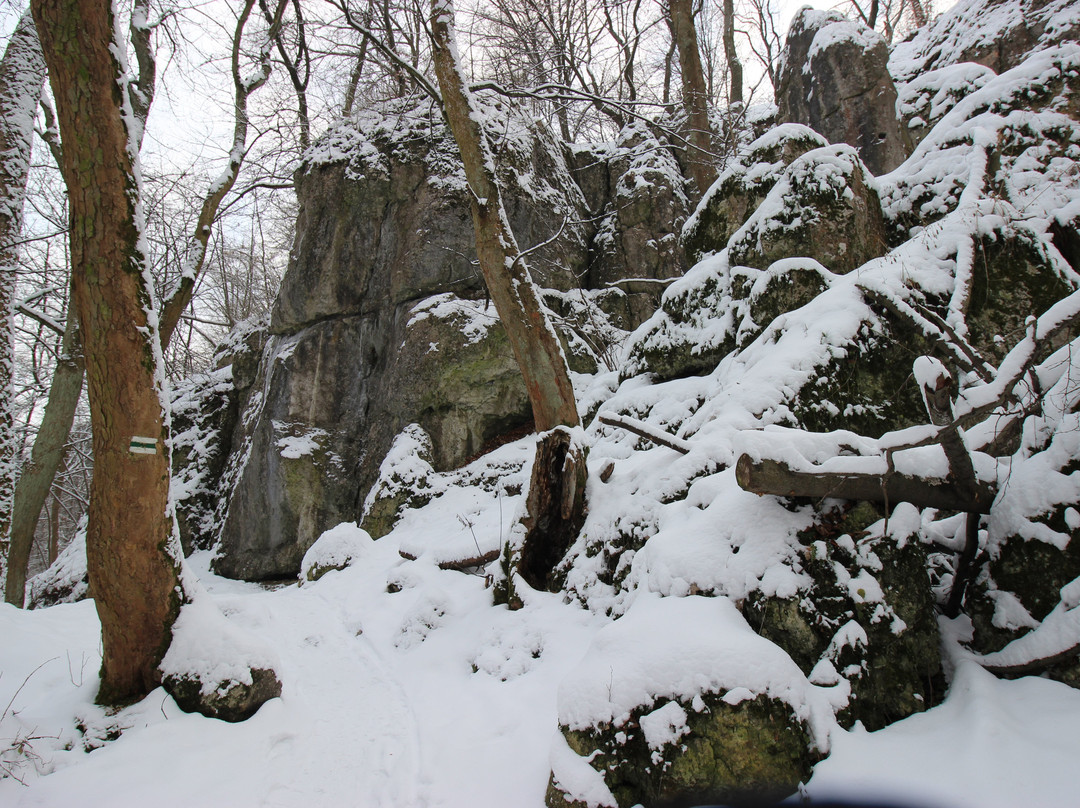 Bielany-Tyniec Landscape Park-克拉科夫必去景点