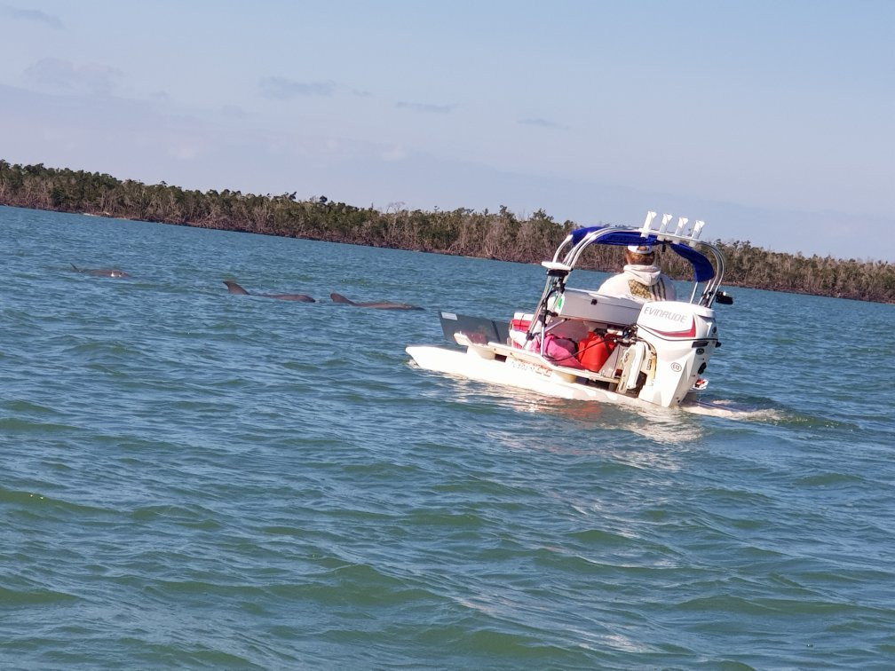 Backwater Adventure-Goodland必去景点