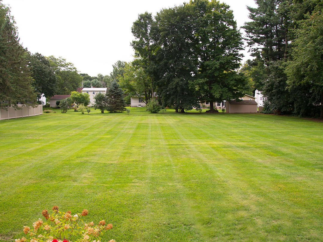 Antique & Irish Welch House主图