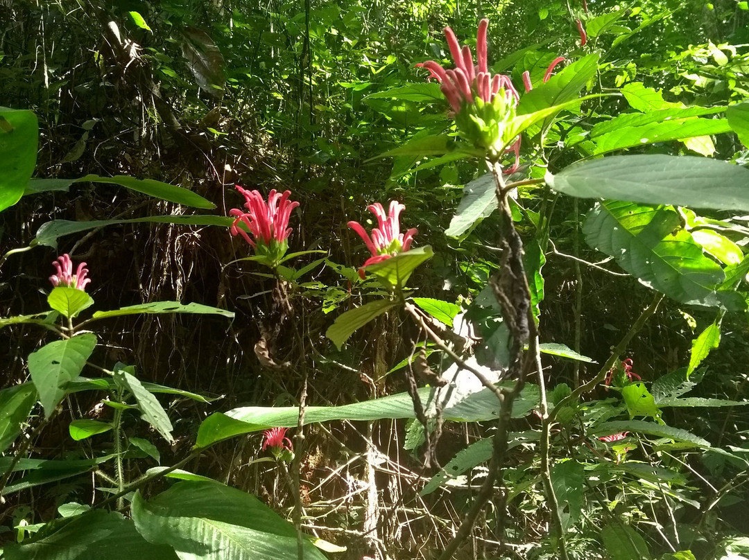 Cachoeira do Poção-Sao Bento do Sapucai必去景点