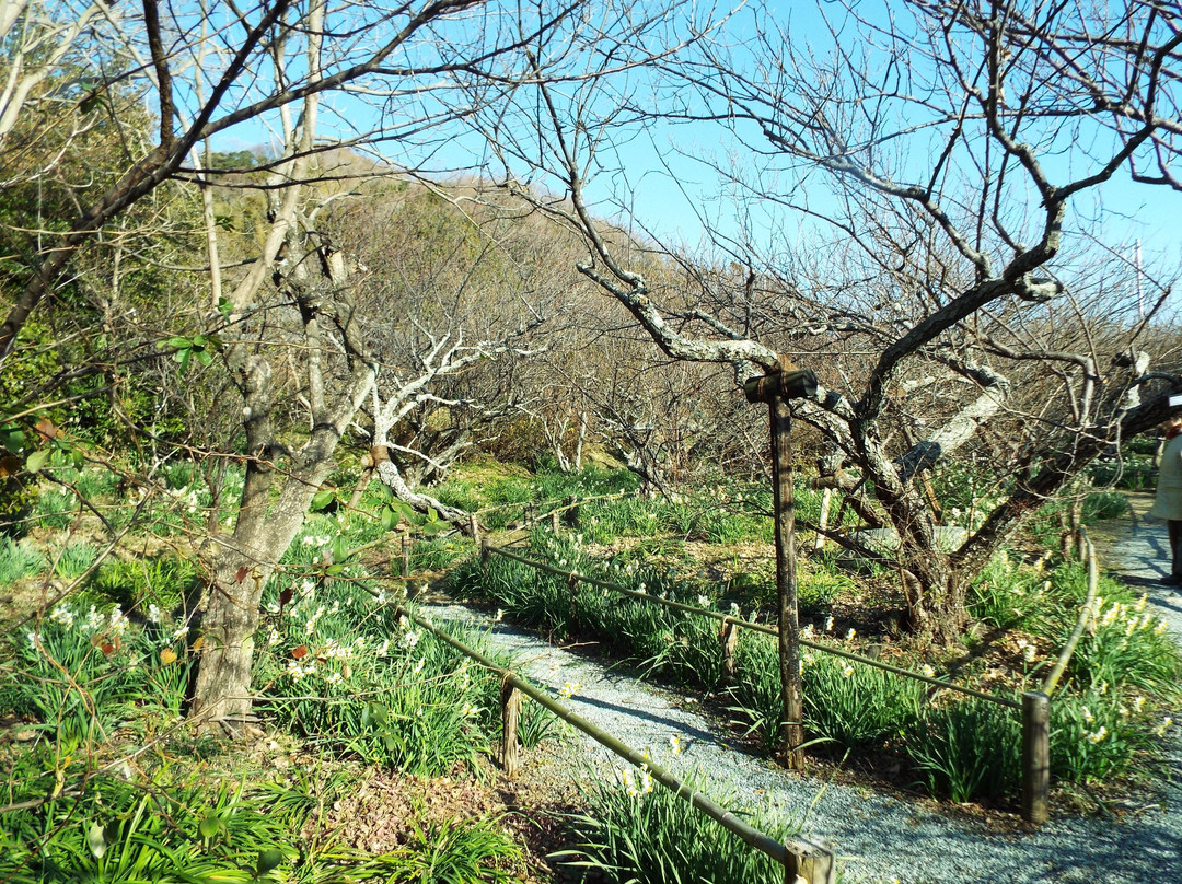 Soho Tokutomi Museum-二宫町必去景点