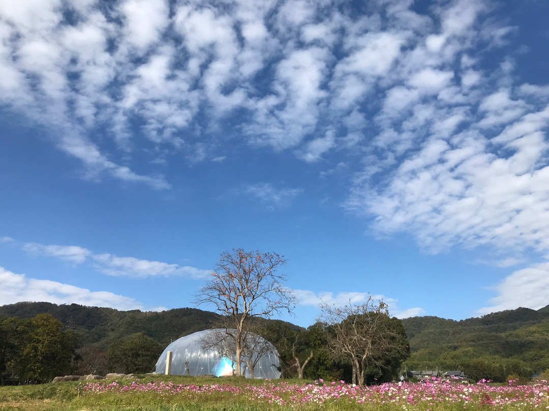 Remians of Kunikyu Palace-木津川市必去景点