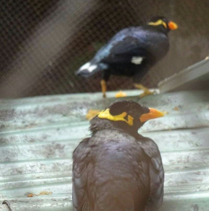 Kolkata Zoo & Zoological Garden景点图片