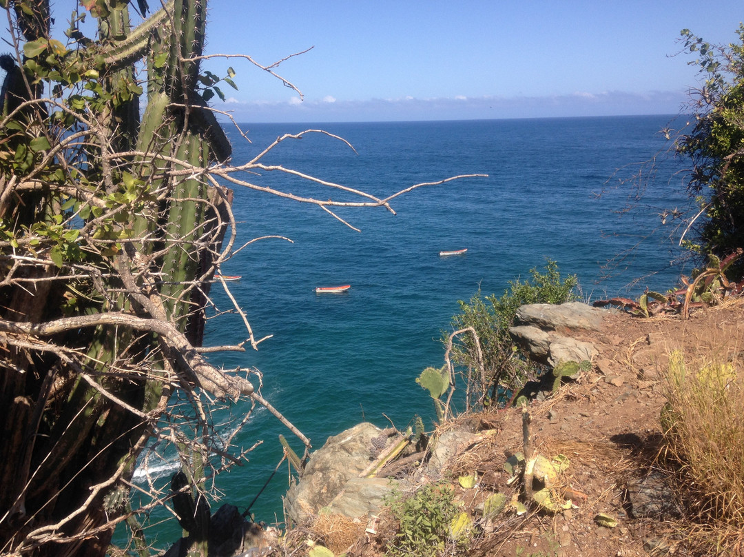 Los Ranchos De Chano主图