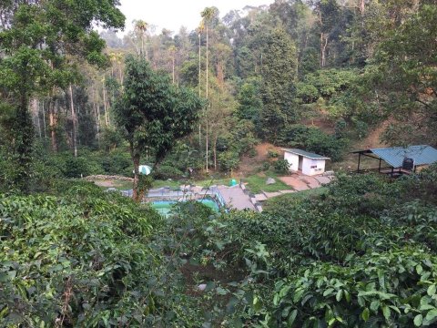 CG-Ala The Coffee Grove-酒店景观