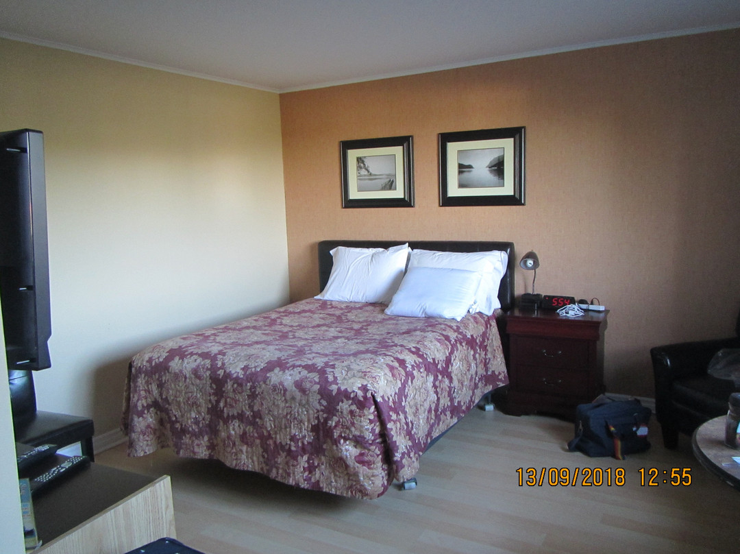 MacNeil's Motel主图