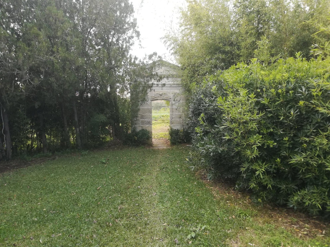 Agricola Samadhi主图