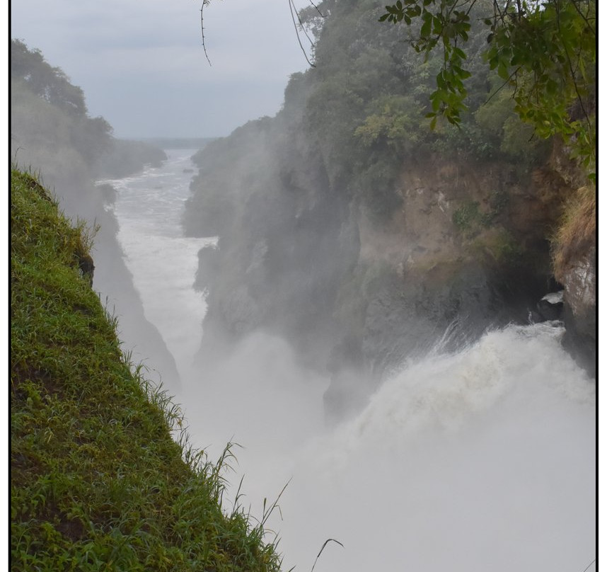Murchison Falls景点图片
