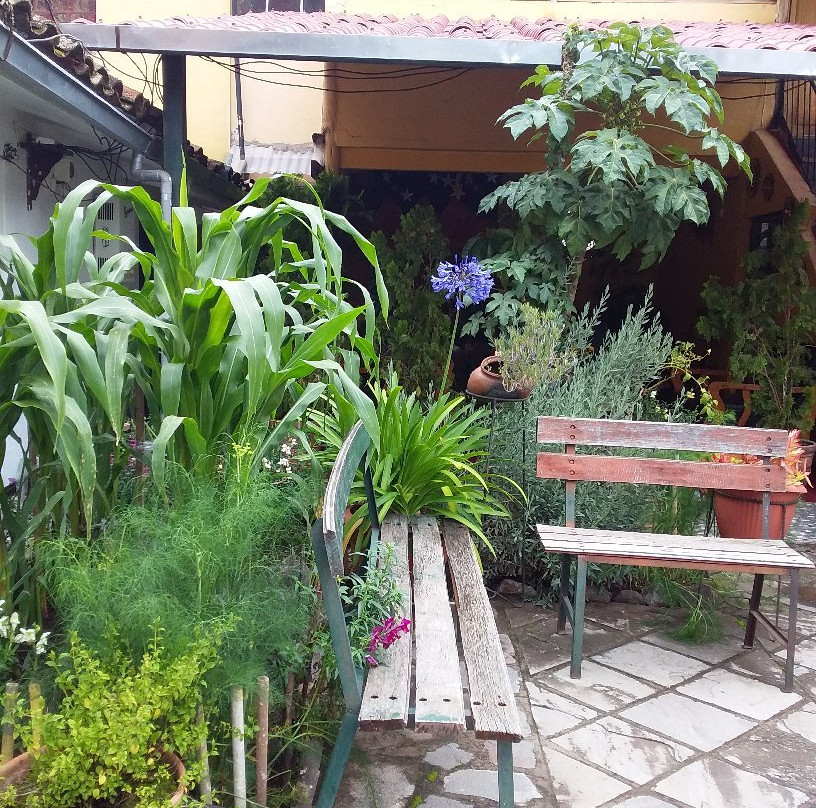 Hospedaje Kitamayu Pisac主图