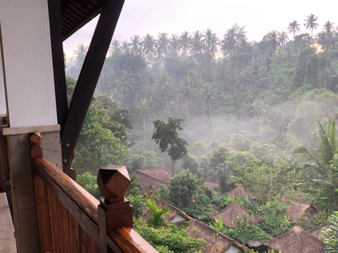 Bali Rent Tour-沙努尔必去景点