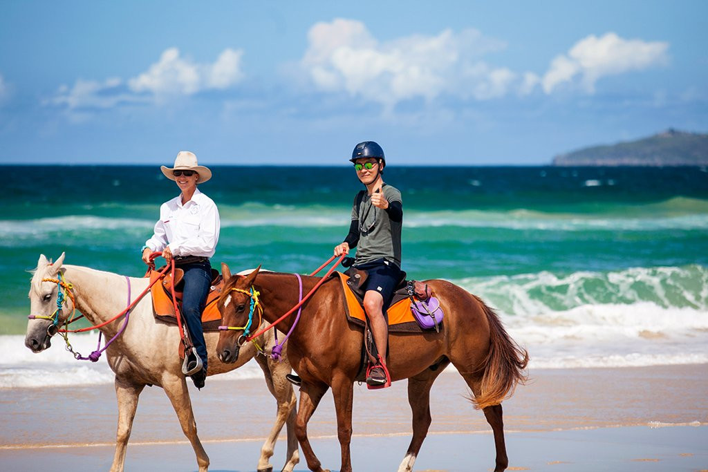 Noosa Day Tours景点图片