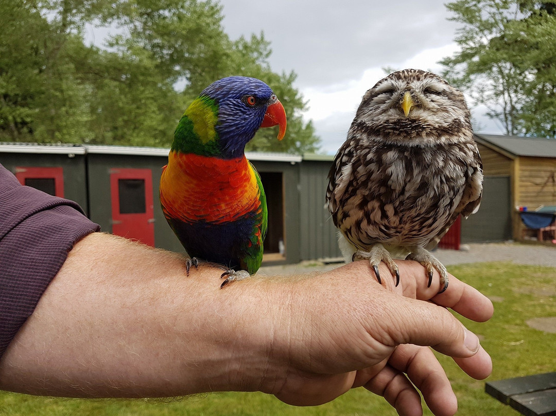 Arion Farm Education Park景点图片