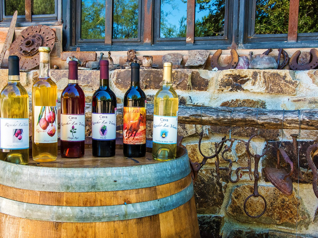 Rancho La Venta-San Bartolo必去景点