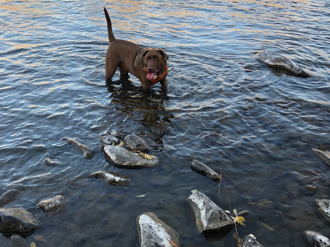 Mayor's Landing-利文斯顿必去景点