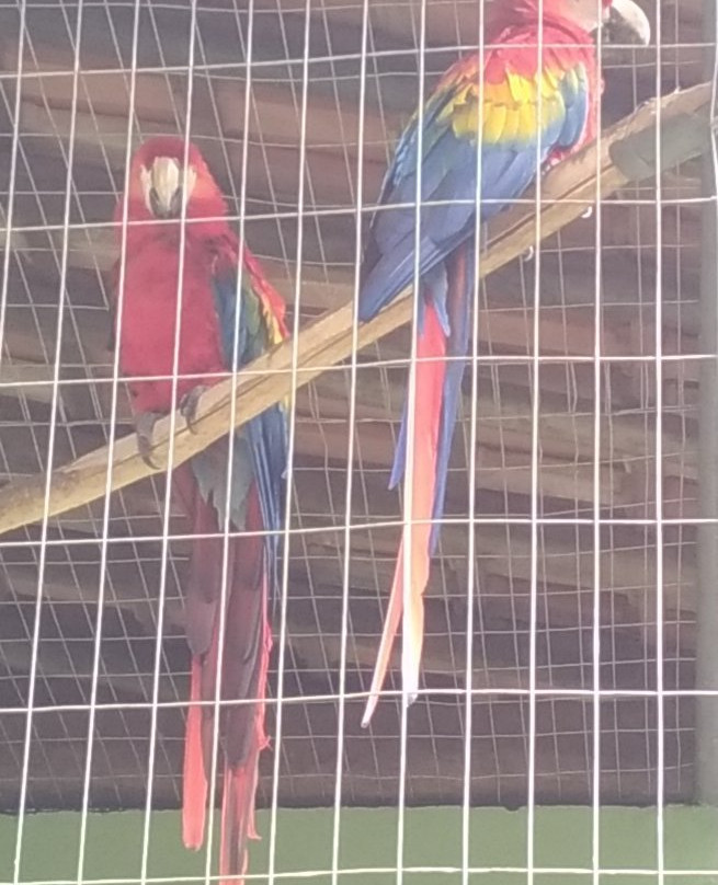 Zoologico Municipal-Mogi Mirim必去景点