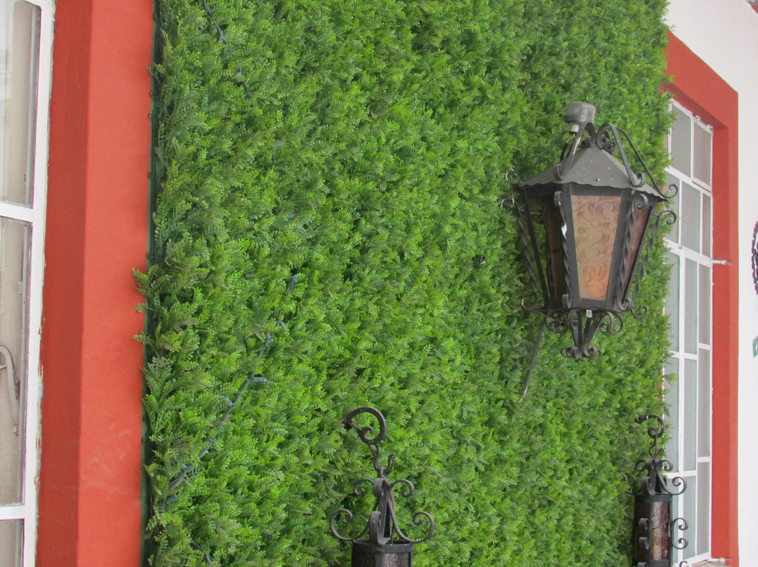 OYO Hotel Del Paseo主图