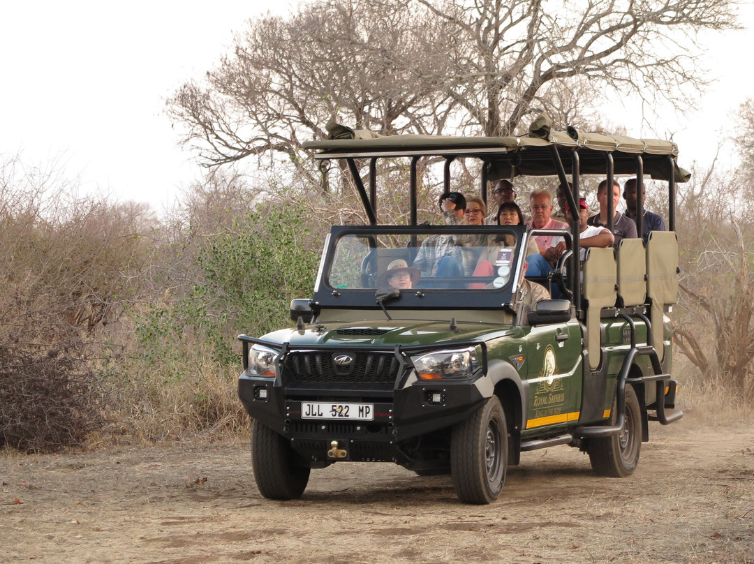Royal Safaris Transfers & Tours景点图片
