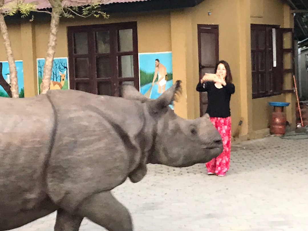 皇家老虎野生动物园度假村主图