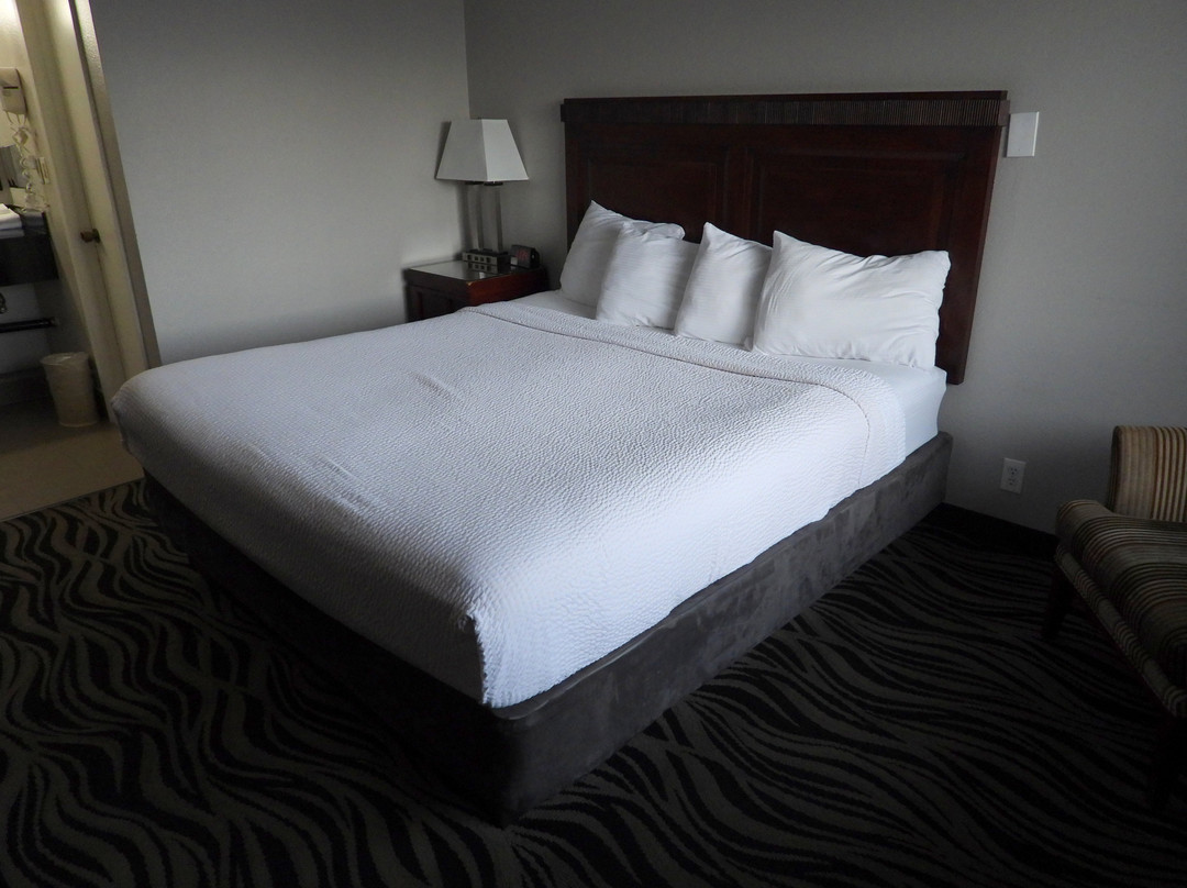 Astoria Rivershore Motel主图