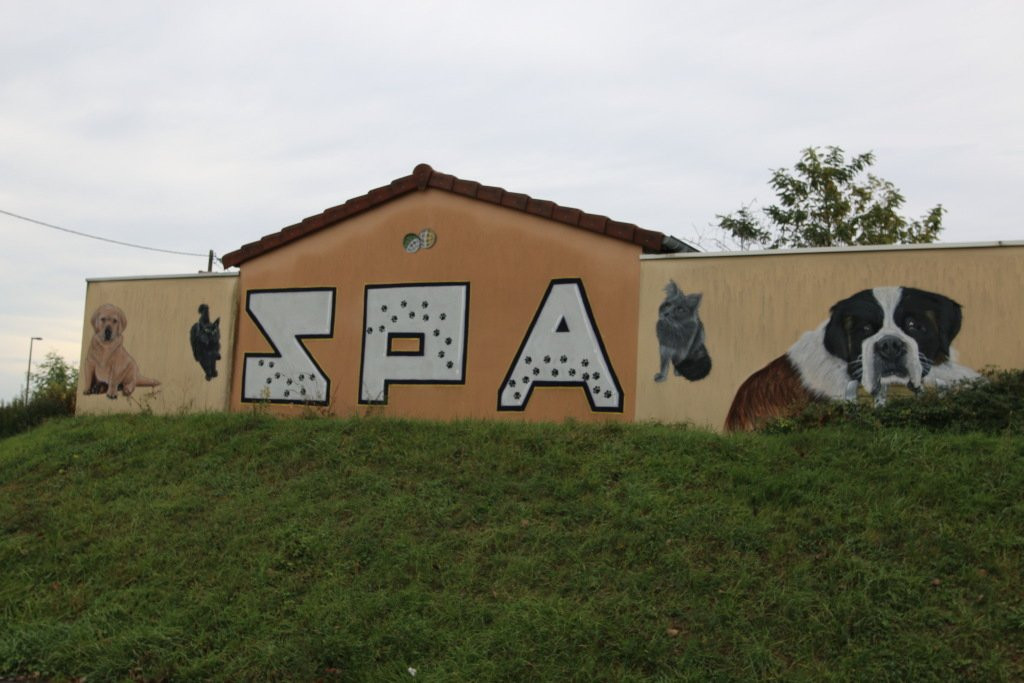 Fresque  Societe Protectrice Des Animaux-Chatenoy-le-Royal必去景点