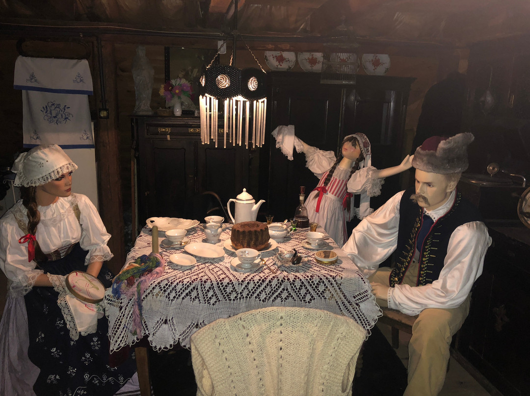 Skansen W Pstraznej景点图片