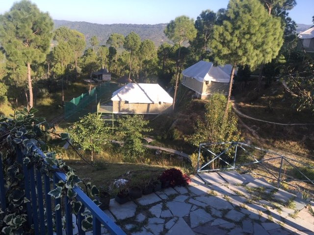 Seed At Queens Meadows, Ranikhet主图