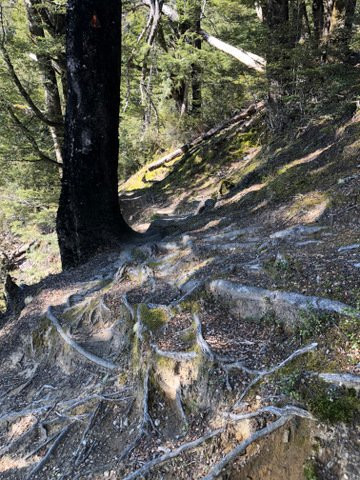 O'Malleys Track-亚瑟隘口国家公园必去景点