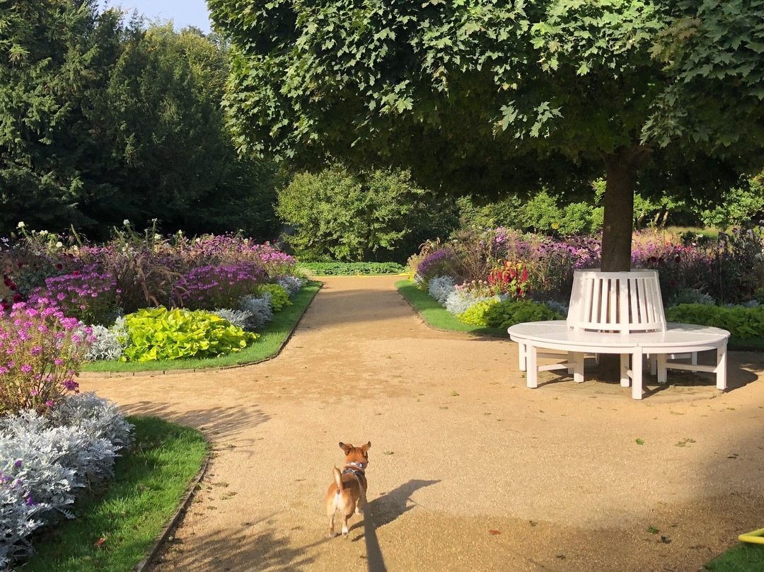 Botanischer Garten景点图片