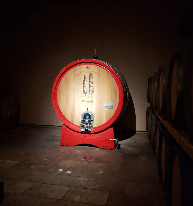 Cervognano旅游景点-Metinella