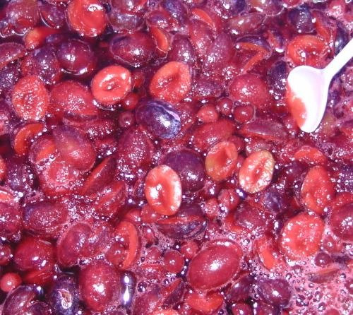 Hindberry Fruchtwein-Himberg必去景点