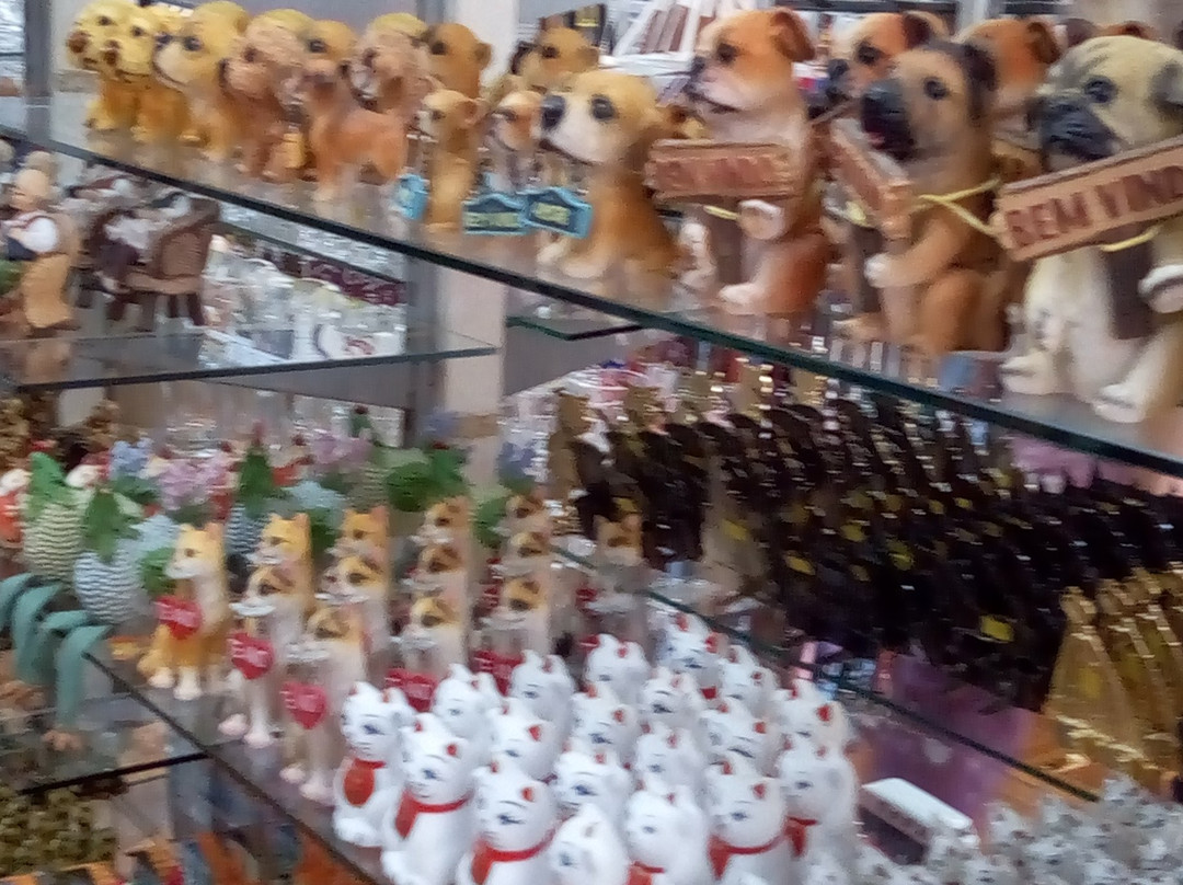 Artesanato Lago Negro-格拉玛多必去景点