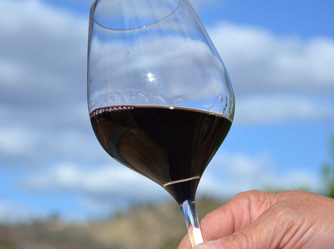 Serengale Vineyard-比奇沃思必去景点