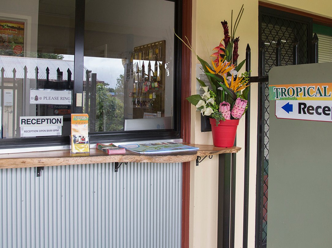 Tropical Lodge主图