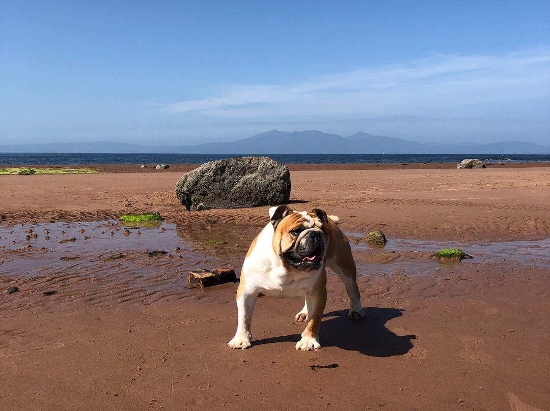 Seamill Beach-Seamill必去景点