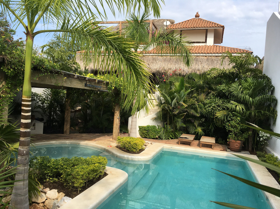 Villa Maria Bed and Breakfast主图