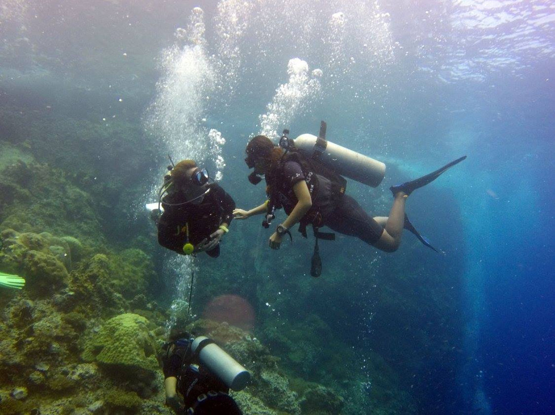 Diving Professional景点图片