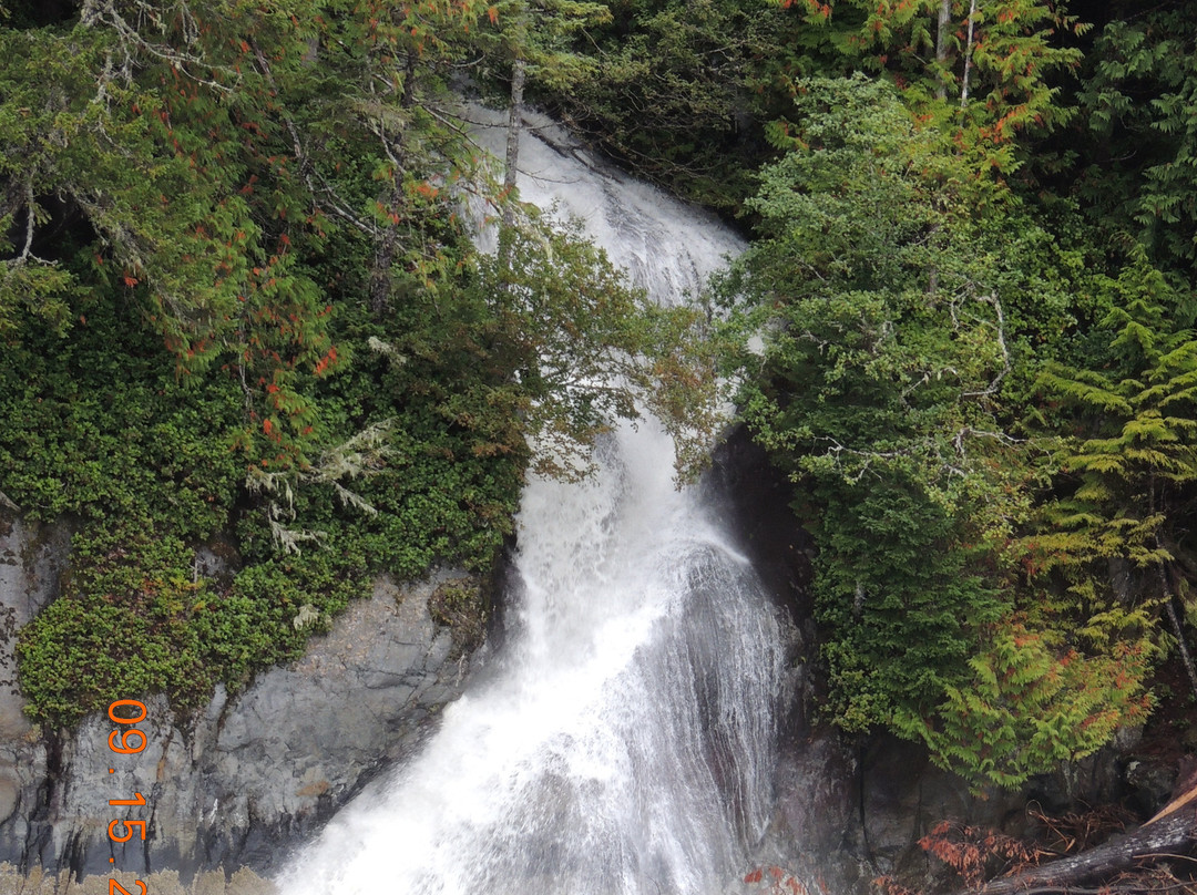 The Artists Point Bed, Breakfast and Phototours主图