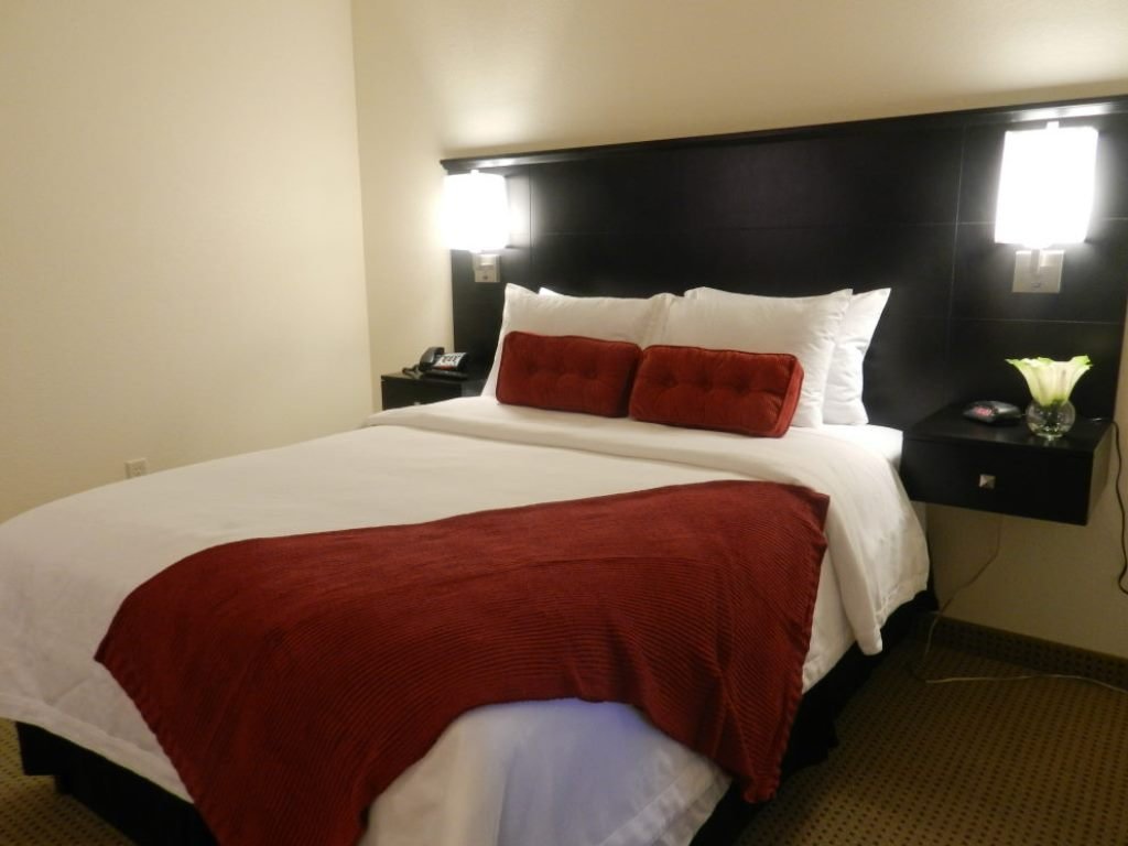 Black Gold Suites-官方