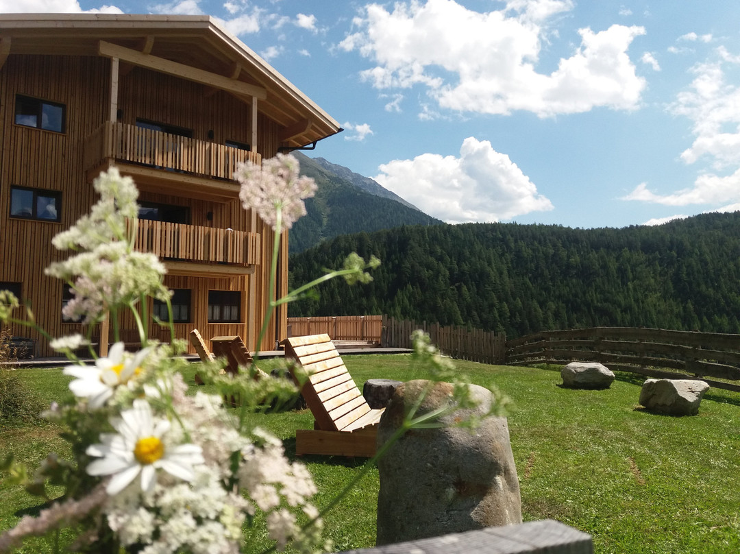 Niederthai酒店住宿-Der Veitenhof