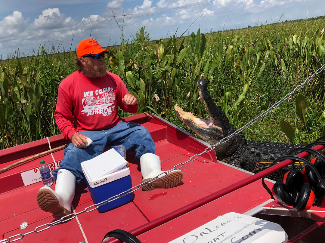 New Orleans Airboat Tours景点图片