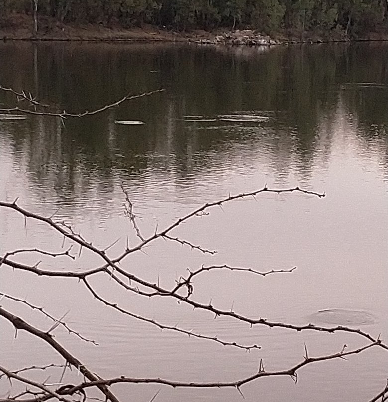 Goosebay Conference Centre主图